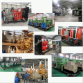 100kw Silent Genset or Electric Power Plant for Biogas Generator of Methane